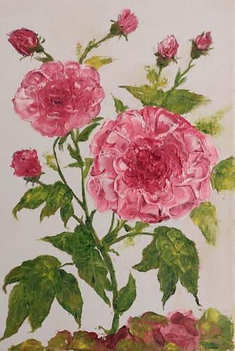 CD, Roses, oils.